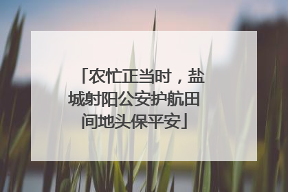 农忙正当时，盐城射阳公安护航田间地头保平安