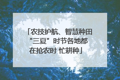 农技护航、智慧种田 “三夏”时节各地都在抢农时 忙耕种