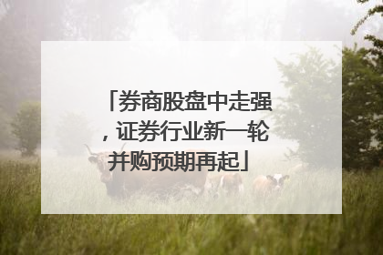 券商股盘中走强，证券行业新一轮并购预期再起