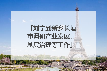 刘宁到新乡长垣市调研产业发展、基层治理等工作