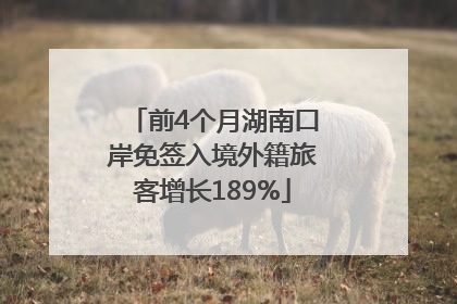 前4个月湖南口岸免签入境外籍旅客增长189%