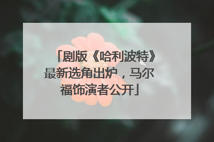 剧版《哈利波特》最新选角出炉，马尔福饰演者公开