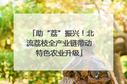 助“荔”振兴！北流荔枝全产业链带动特色农业升级