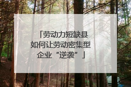 劳动力短缺县 如何让劳动密集型企业“逆袭”