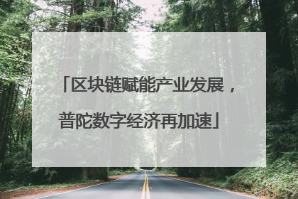 区块链赋能产业发展，普陀数字经济再加速