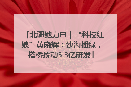 北疆她力量｜“科技红娘”黄晓辉：沙海播绿，搭桥撬动5.3亿研发
