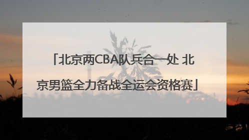 北京两CBA队兵合一处 北京男篮全力备战全运会资格赛
