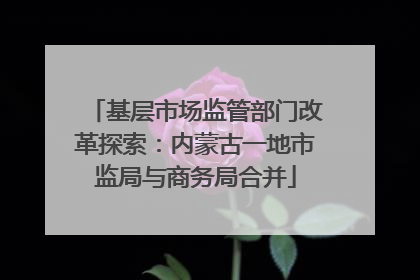 基层市场监管部门改革探索：内蒙古一地市监局与商务局合并