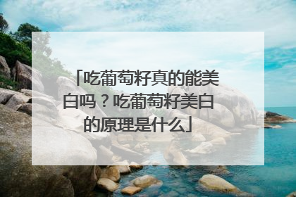 吃葡萄籽真的能美白吗？吃葡萄籽美白的原理是什么