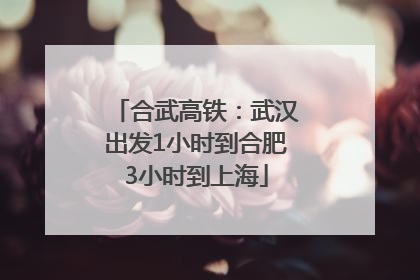 合武高铁：武汉出发1小时到合肥3小时到上海