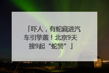 吓人，有蛇藏进汽车引擎盖！北京9天接9起“蛇警”