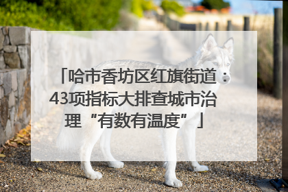 哈市香坊区红旗街道：43项指标大排查城市治理“有数有温度”
