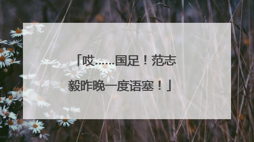 哎……国足！范志毅昨晚一度语塞！