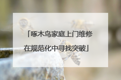 啄木鸟家庭上门维修在规范化中寻找突破