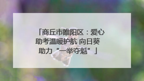 商丘市睢阳区：爱心助考温暖护航 向日葵助力“一举夺魁”