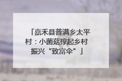 嘉禾县普满乡太平村：小菌菇撑起乡村振兴“致富伞”