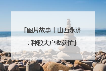 图片故事丨山西永济：种粮大户收获忙