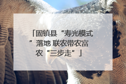 固镇县“寿光模式”落地 联农带农富农“三步走”
