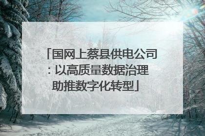 国网上蔡县供电公司：以高质量数据治理 助推数字化转型