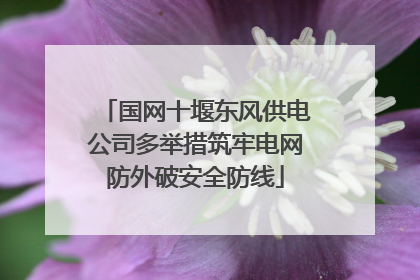 国网十堰东风供电公司多举措筑牢电网防外破安全防线