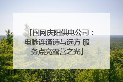 国网庆阳供电公司：电脉连通诗与远方 服务点亮露营之光