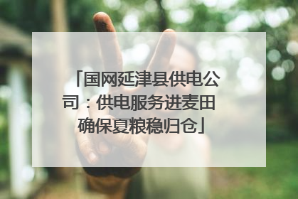 国网延津县供电公司：供电服务进麦田 确保夏粮稳归仓