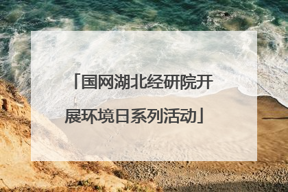 国网湖北经研院开展环境日系列活动