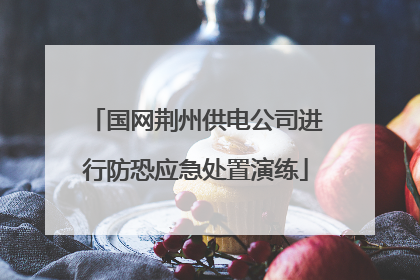 国网荆州供电公司进行防恐应急处置演练
