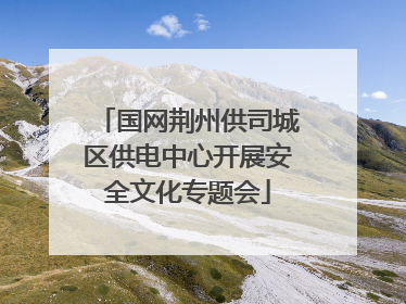 国网荆州供司城区供电中心开展安全文化专题会