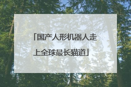 国产人形机器人走上全球最长猫道