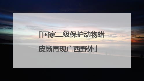国家二级保护动物蜡皮蜥再现广西野外