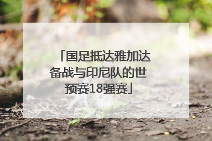 国足抵达雅加达备战与印尼队的世预赛18强赛