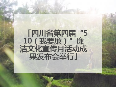四川省第四届“510（我要廉）”廉洁文化宣传月活动成果发布会举行
