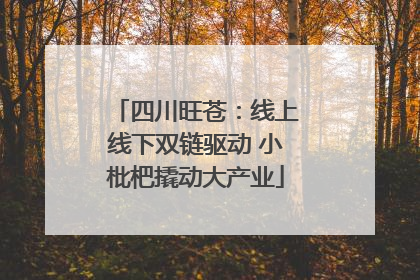 四川旺苍：线上线下双链驱动 小枇杷撬动大产业