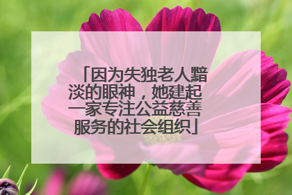因为失独老人黯淡的眼神，她建起一家专注公益慈善服务的社会组织