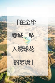 在金华婺城，坠入绣球花的梦境