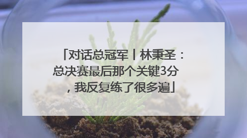 对话总冠军丨林秉圣：总决赛最后那个关键3分，我反复练了很多遍