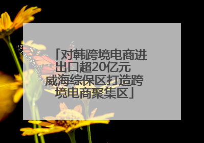 对韩跨境电商进出口超20亿元 威海综保区打造跨境电商聚集区