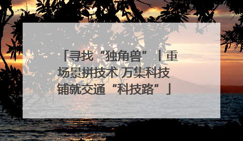 寻找“独角兽”丨重场景拼技术 万集科技铺就交通“科技路”