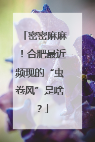 密密麻麻！合肥最近频现的“虫卷风”是啥？