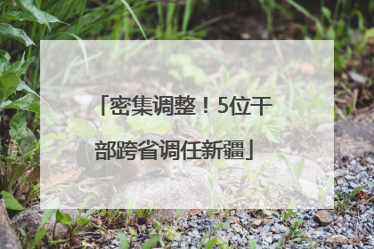 密集调整！5位干部跨省调任新疆