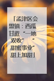 孟津区会盟镇：西瓜甘蔗“一地双收” “甜蜜事业”甜上加甜