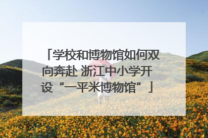 学校和博物馆如何双向奔赴 浙江中小学开设“一平米博物馆”