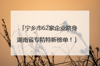 宁乡市62家企业跻身湖南省专精特新榜单！