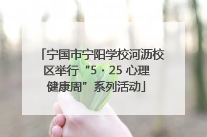 宁国市宁阳学校河沥校区举行“5・25 心理健康周”系列活动