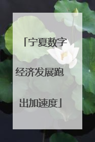 宁夏数字经济发展跑出加速度