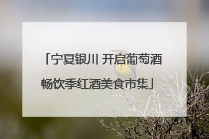 宁夏银川 开启葡萄酒畅饮季红酒美食市集