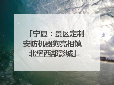 宁夏：景区定制安防机器狗亮相镇北堡西部影城
