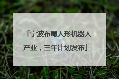 宁波布局人形机器人产业，三年计划发布