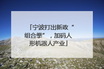 宁波打出新政“组合拳”，加码人形机器人产业